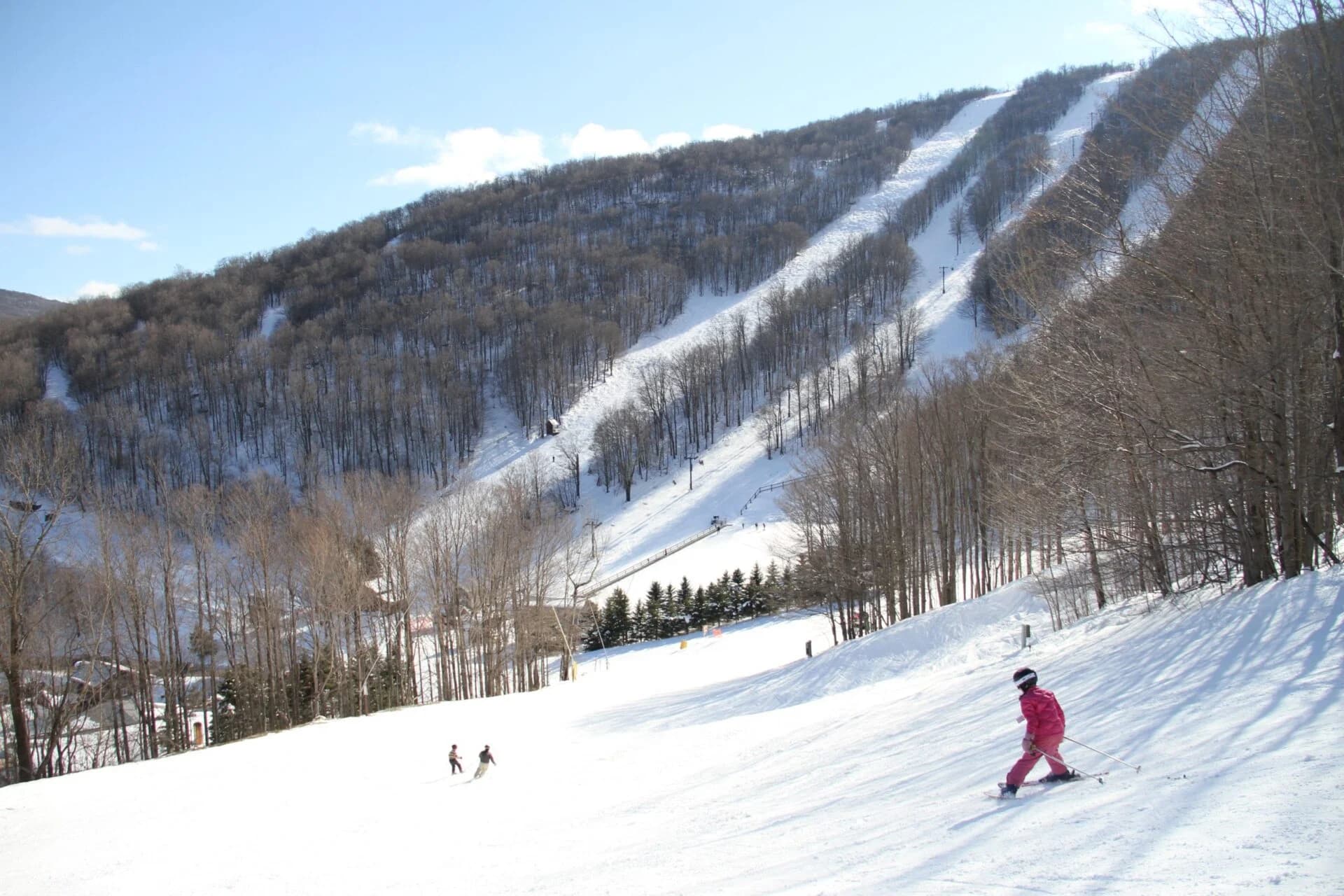 Plattekill ski area photo 4