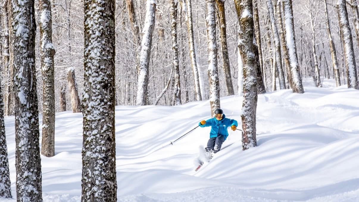 Stratton Mountain Resort ski area